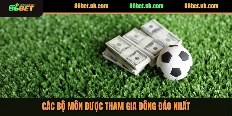 Các bộ môn được tham gia đông đảo nhất