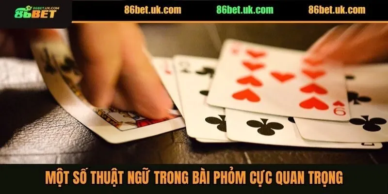 Một số thuật ngữ trong bài phỏm cực quan trọng