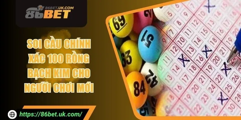 Soi Cầu Chính Xác 100 Rồng Bạch Kim Cho Người Chơi Mới