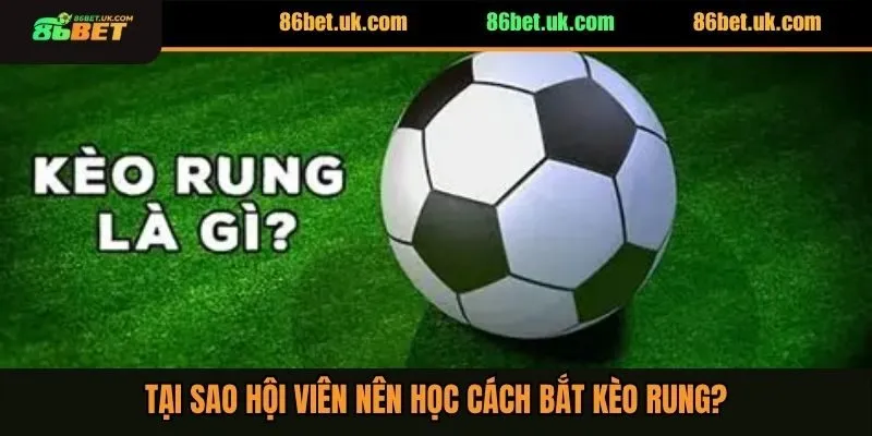 Tại sao hội viên nên học cách bắt kèo rung?